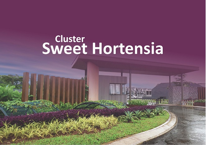 Sweet Hortensia
